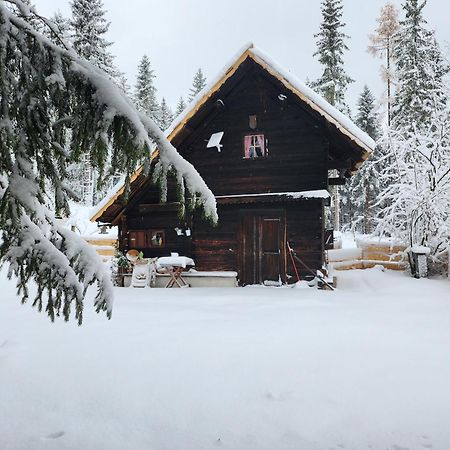 Apartmán Urige Waldbienenhuette Diex Exteriér fotografie