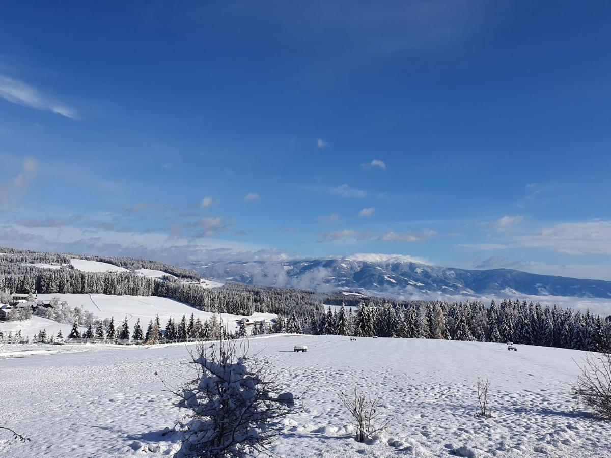 Apartmán Urige Waldbienenhuette Diex Exteriér fotografie