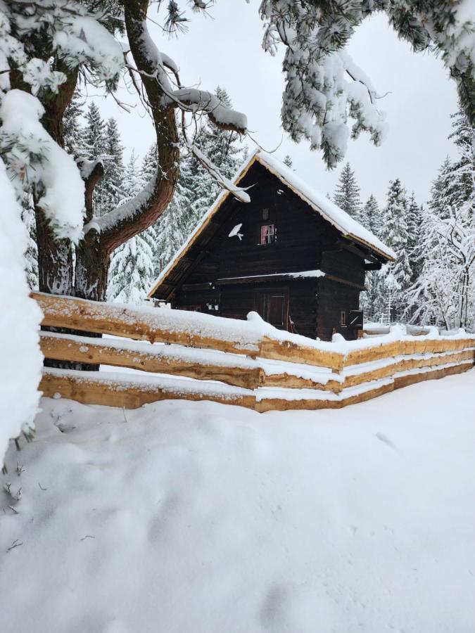 Apartmán Urige Waldbienenhuette Diex Exteriér fotografie